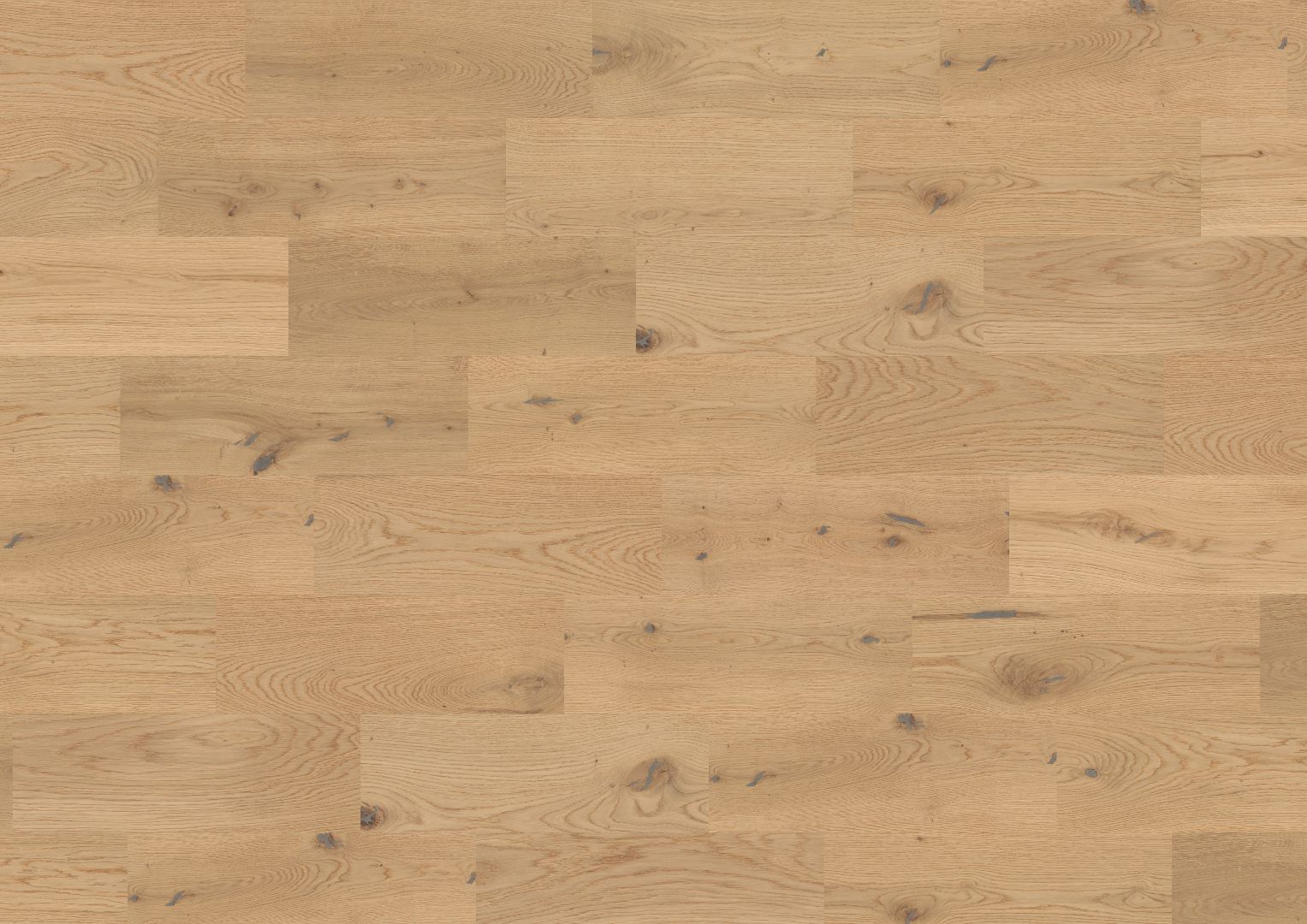 Imperial Oak 180