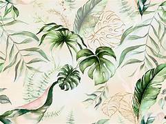 COMPOSICION JUNGLE SOFT